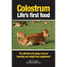 Colostrum Life's first food: The ultimate anti-aging, immune boosting and weight loss supplement