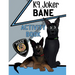 K9 Joker and Bane Activity Book