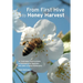 From First Hive to Honey Harvest