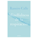 Mindfulness de la Respiración / Mindfulness of the Breath