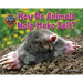 How Do Animals Help Make Soil?