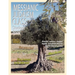 Messianic Judaism Class, Student Book