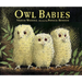 Owl Babies