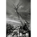 Mythoscape: A Different World