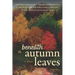 Beneath Autumn Leaves