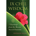 Ix Chel Wisdom: 7 Teachings from the Mayan Sacred Feminine
