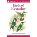 Field Guide to the Birds of Ecuador