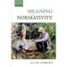 Meaning and Normativity