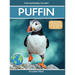 Puffin: Amazing Facts about Nature's Colorful Seabird for Kids