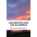 Lie Groups and Lie Algebras: A Rewrite of Lie Theory