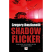 Shadow Flicker