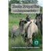 Horse Properties - A Management Guide