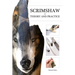 Scrimshaw in Theory and Practice
