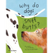 Why Do Dogs Sniff Butts?: Curious Questions about Your Favorite Pets