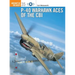 P-40 Warhawk Aces of the Cbi