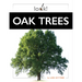 Oak Trees