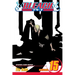 Bleach, Vol. 15