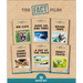 Phonic Books the Fact Files 2: Consonant Blends and Digraphs, and Alternative Spellings for Vowel Sounds