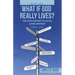 What If God Really Lives?: The Case for Why to Go on Living Anyway!