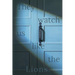 They Watch Us Like the Lions