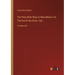 The Pony Rider Boys in New Mexico; Or, The End of the Silver Trail: in large print