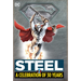 Steel: A Celebration of 30 Years: Hc - Hardcover