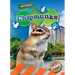 Chipmunks