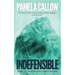 Indefensible: Book 2 of the Kate Lange Thriller Series
