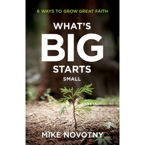 What's Big Starts Small