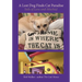 A Lost Dog Finds Cat Paradise: Tails of Love and Mischief