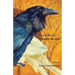 Crow-Blue, Crow-Black