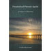 Paradoxical Phoenix: Ignite