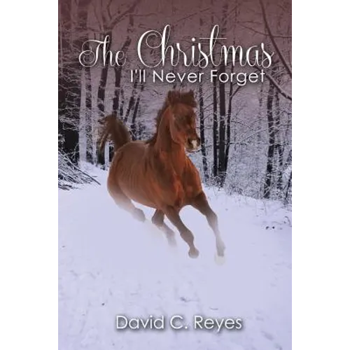 The Christmas I'll Never Forget