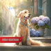 Winston Goes For A Walk (New Edition)