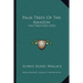 Palm Trees Of The Amazon: And Their Uses (1853)