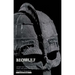 Beowulf: Revised Edition