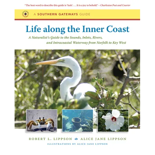 Life Along the Inner Coast: A Naturalist's Guide to the Sounds, Inlets, Rivers, and Intracoastal Waterway from Norfolk to Key West