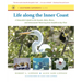 Life Along the Inner Coast: A Naturalist's Guide to the Sounds, Inlets, Rivers, and Intracoastal Waterway from Norfolk to Key West