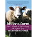 Hit by a Farm: How I Learned to Stop Worrying and Love the Barn