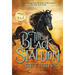 The Black Stallion Returns