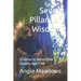 Seven Pillars of Wisdom: 12 Verse by Verse Bible Studies for Age 7-99