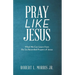 Pray Like Jesus: What We Can Learn from the Six Recorded Prayers of Jesus