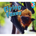 All about Flying Foxes