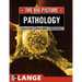 Pathology: The Big Picture
