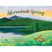 Adirondack Spring