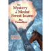 The Mystery at Mount Forest Island