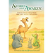 Stories that Awaken