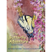 The Butterfly Adventure