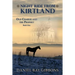 Night Ride from Kirtland