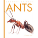 Ants